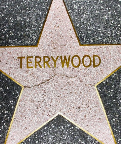 Terry richardson terrywood /anglais