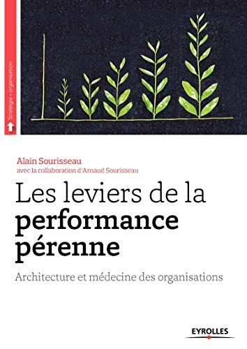 Les leviers de la performance pérenne : architecture et médecine des organisations