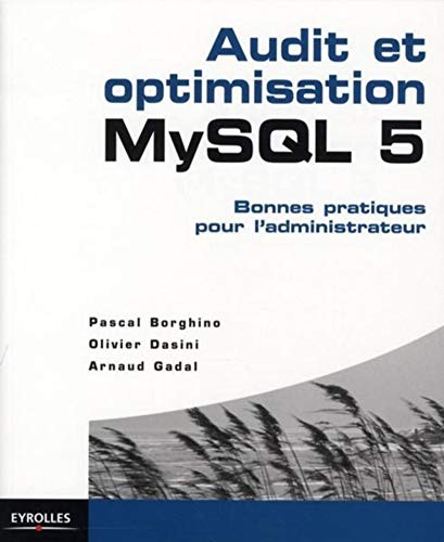 Audit et optimisation MySQL 5 : bonnes pratiques pour l'administrateur