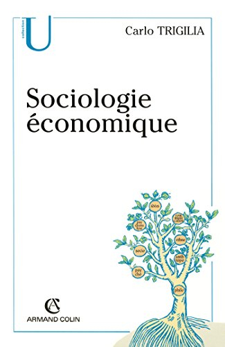 Sociologie économique : Etat, marché et société dans le capitalisme moderne