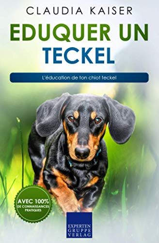 Eduquer un teckel: L'éducation de ton chiot teckel