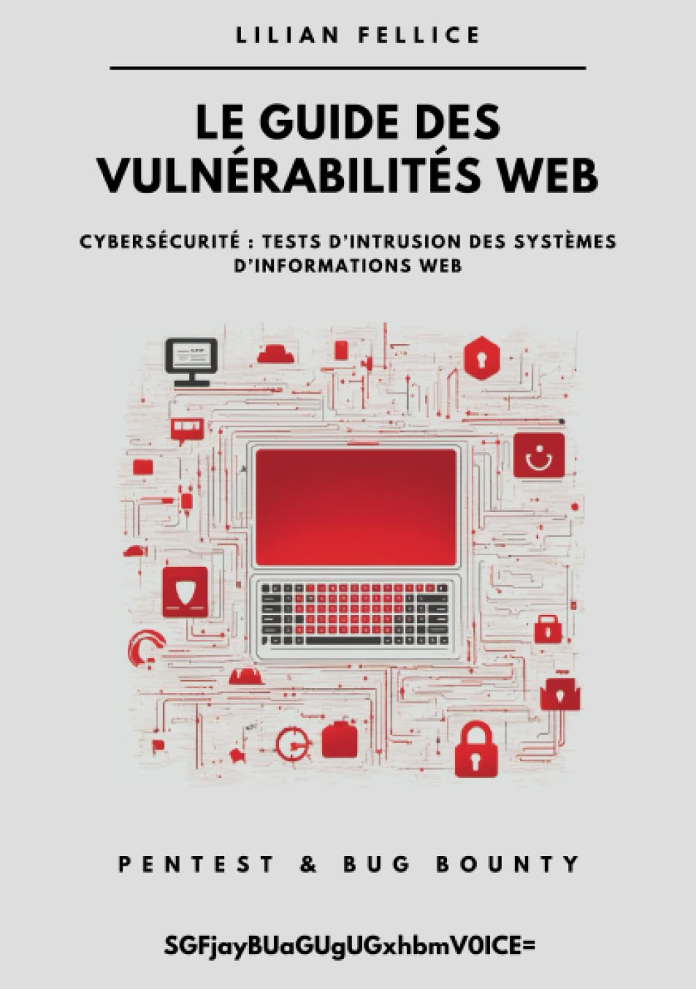 Cybersécurité : tests d’intrusion des systèmes d’informations web: Le guide des vulnérabilités web