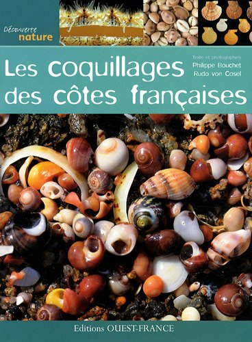 Les coquillages des côtes françaises