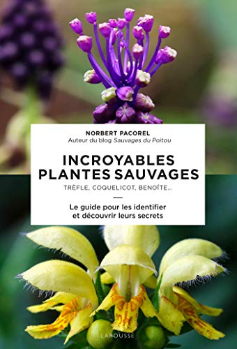 Incroyables plantes sauvages : trèfle, coquelicot, benoîte... : le guide pour les identifier et déco