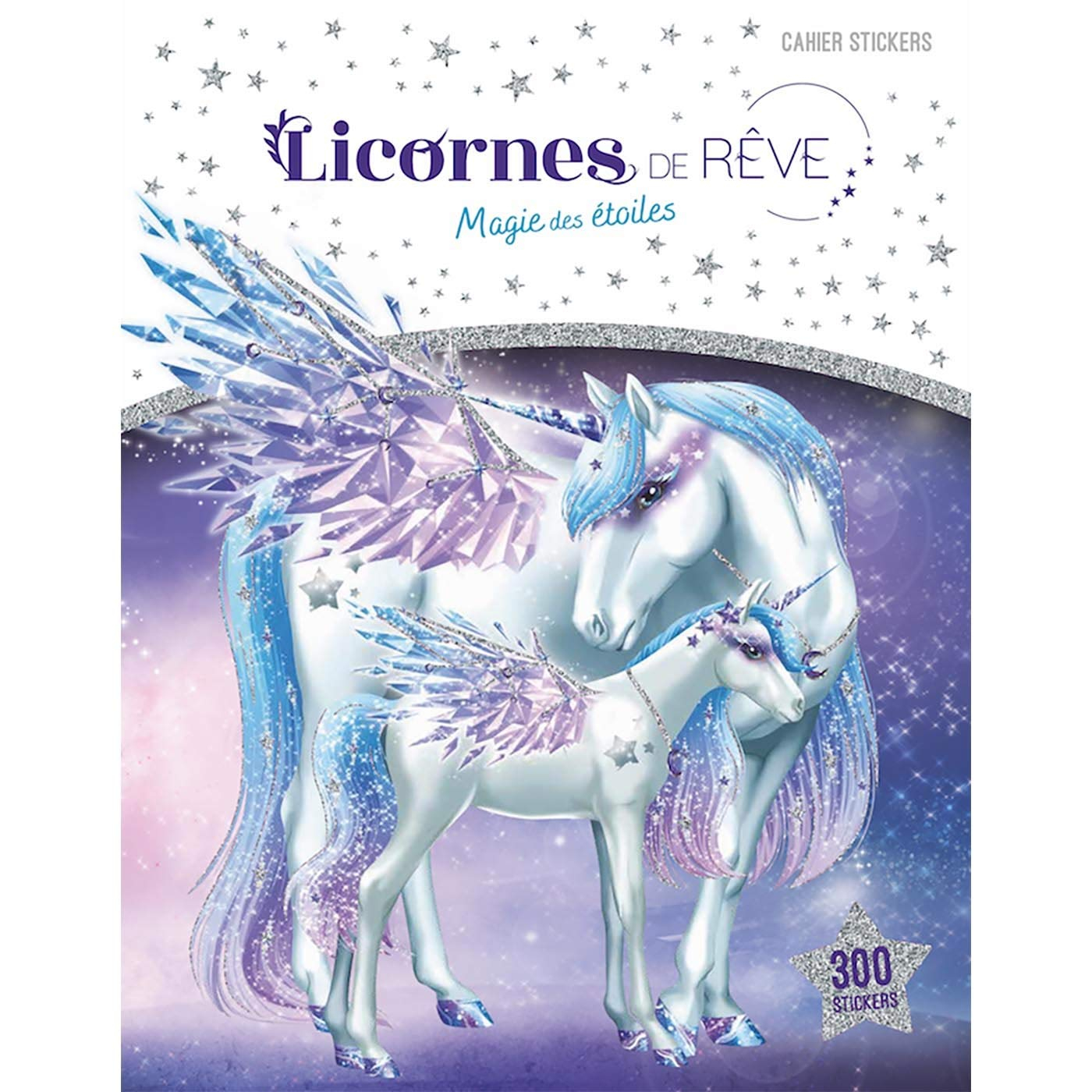 Magie des étoiles : cahier stickers