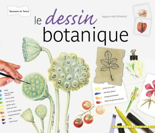 Le dessin botanique