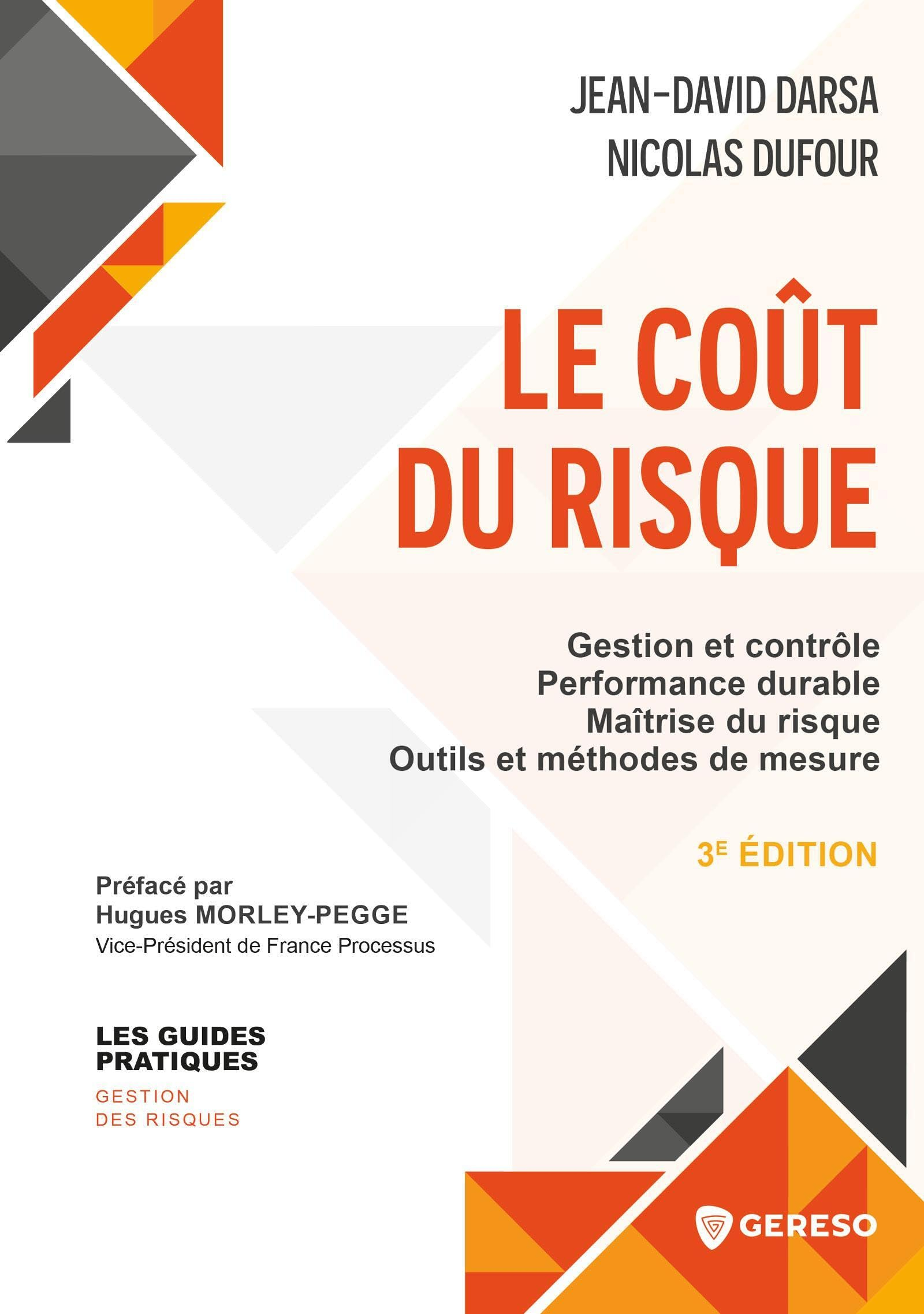 Le coût du risque : gestion et contrôle, performance durable, maîtrise du risque, outils et méthodes