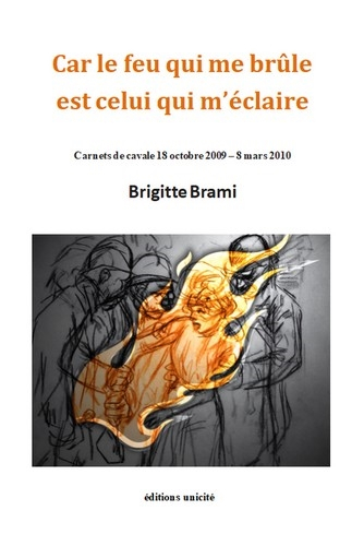 Car le feu qui me brûle est celui qui m'éclaire : carnets de cavale 18 octobre 2009-8 mars 2010