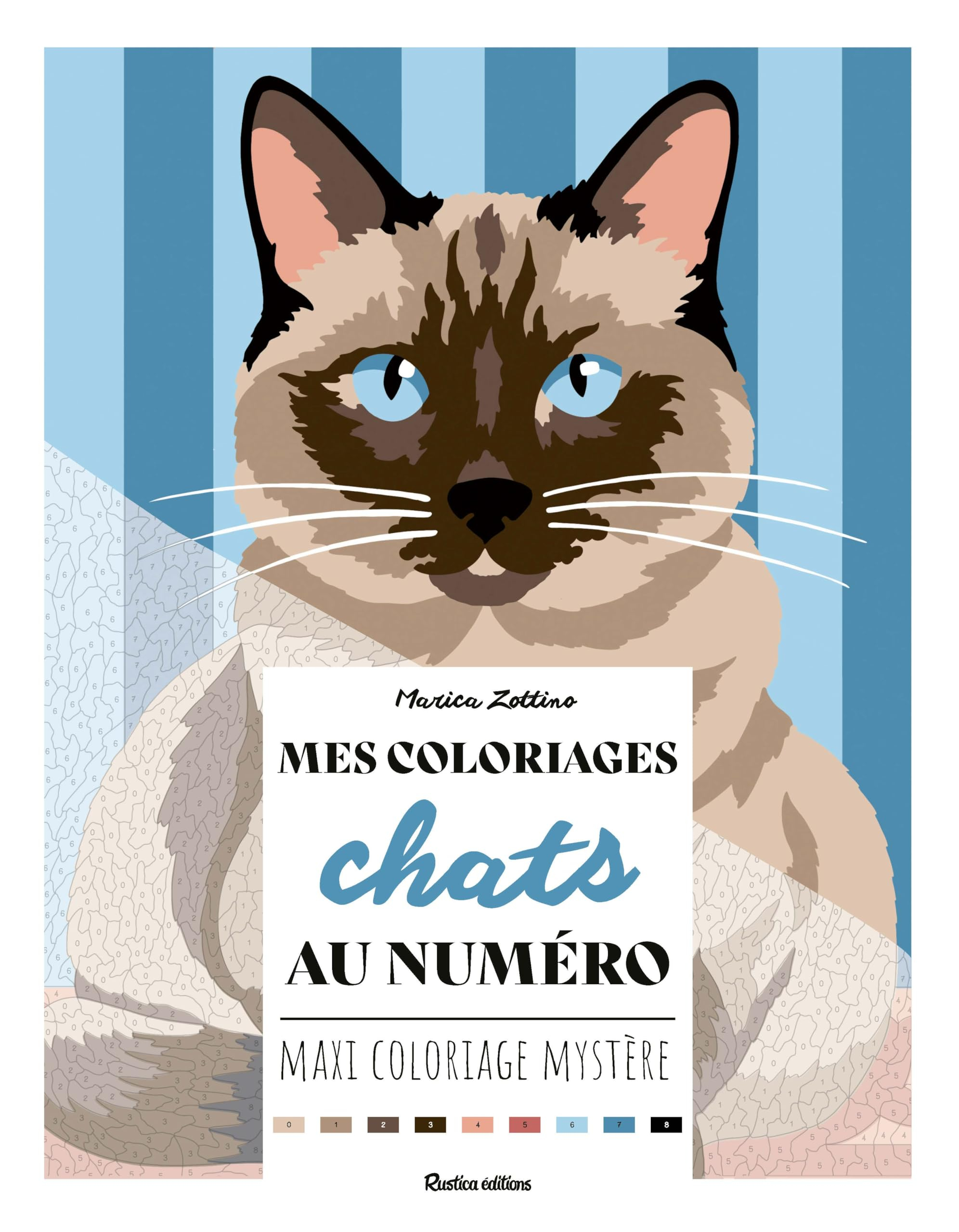 Mes coloriages chats au numéro : maxi coloriage mystère