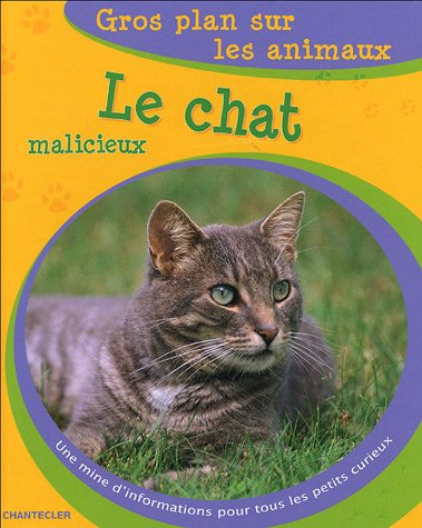 Le chat malicieux : une mine d'informations pour tous les petits curieux