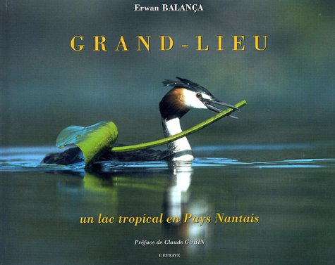 Grand-Lieu : un lac tropical en pays nantais