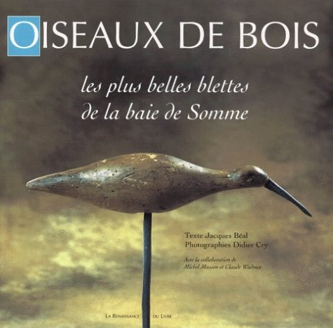 Oiseaux de bois du bord de mer : les plus belles blettes de la baie de Somme