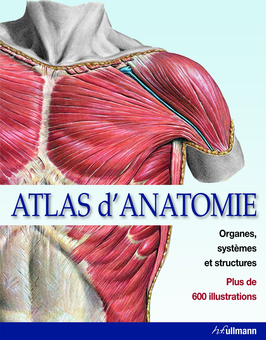Atlas d'anatomie : organes, systèmes et structures