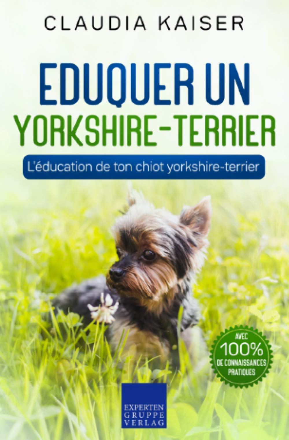 Eduquer un yorkshire-terrier: L'éducation de ton chiot yorkshire-terrier
