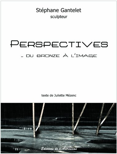 Perspectives : du bronze à l'image