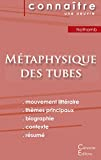 Fiche de lecture Métaphysique des tubes de Amélie Nothomb (Analyse littéraire de référence et résumé