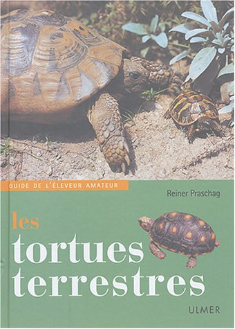 Les tortues terrestres