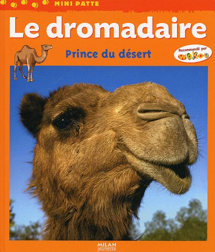 Le dromadaire : prince du désert