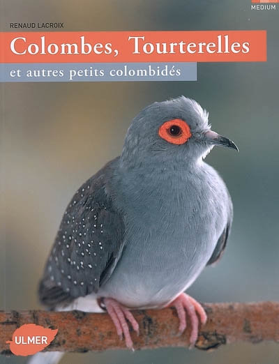 Colombes, tourterelles et autres petites colombidés