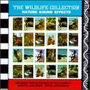 wild life collection