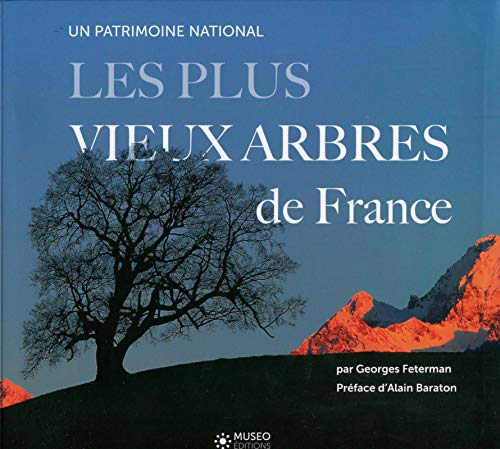 Les plus vieux arbres de France : un patrimoine national