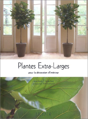 Plantes extra-larges : pour la décoration d'intérieur