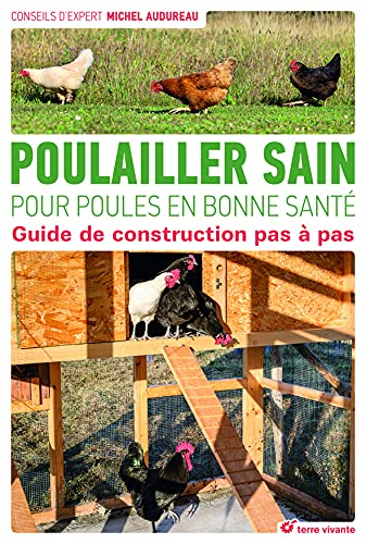 Poulailler sain pour poules en bonne santé : guide de construction pas à pas