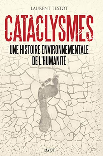 Cataclysmes : une histoire environnementale de l'humanité