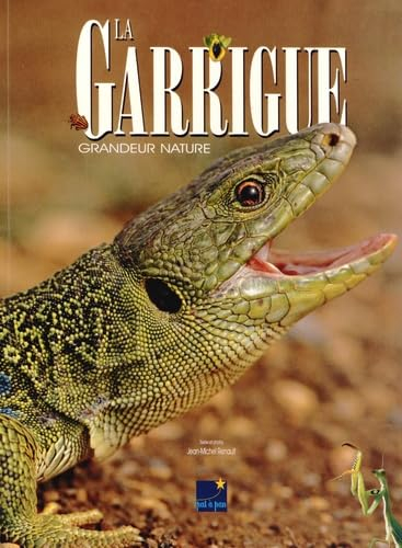 La garrigue : grandeur nature