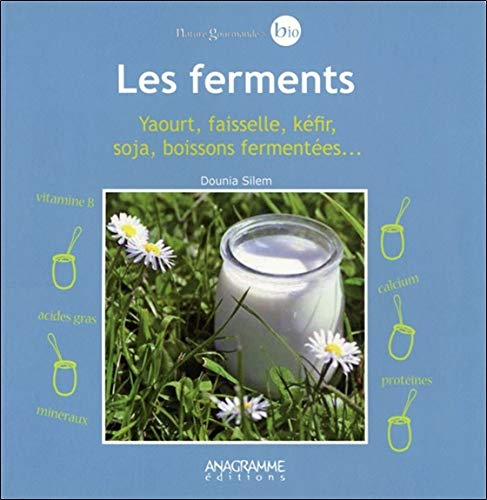 Les ferments : yaourt, faisselle, kéfir, soja, boissons fermentées...