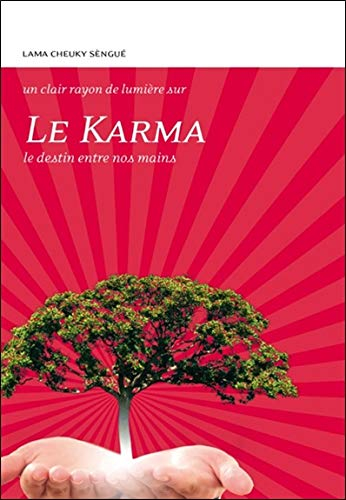 Le karma : le destin entre nos mains