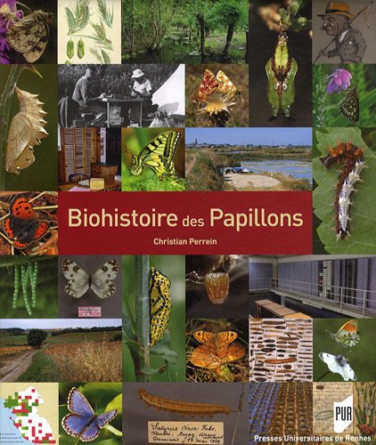 Biohistoire des papillons : diversité et conservation des lépidoptères rhopalocères en Loire-Atlanti