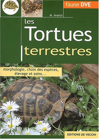 Les tortues terrestres