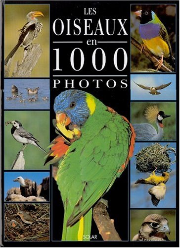 Les oiseaux en 1000 photos
