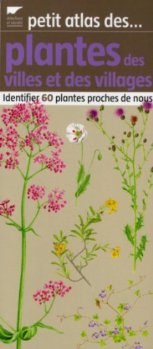 Petit atlas des plantes des villes et des villages : identifier 60 plantes proches de nous