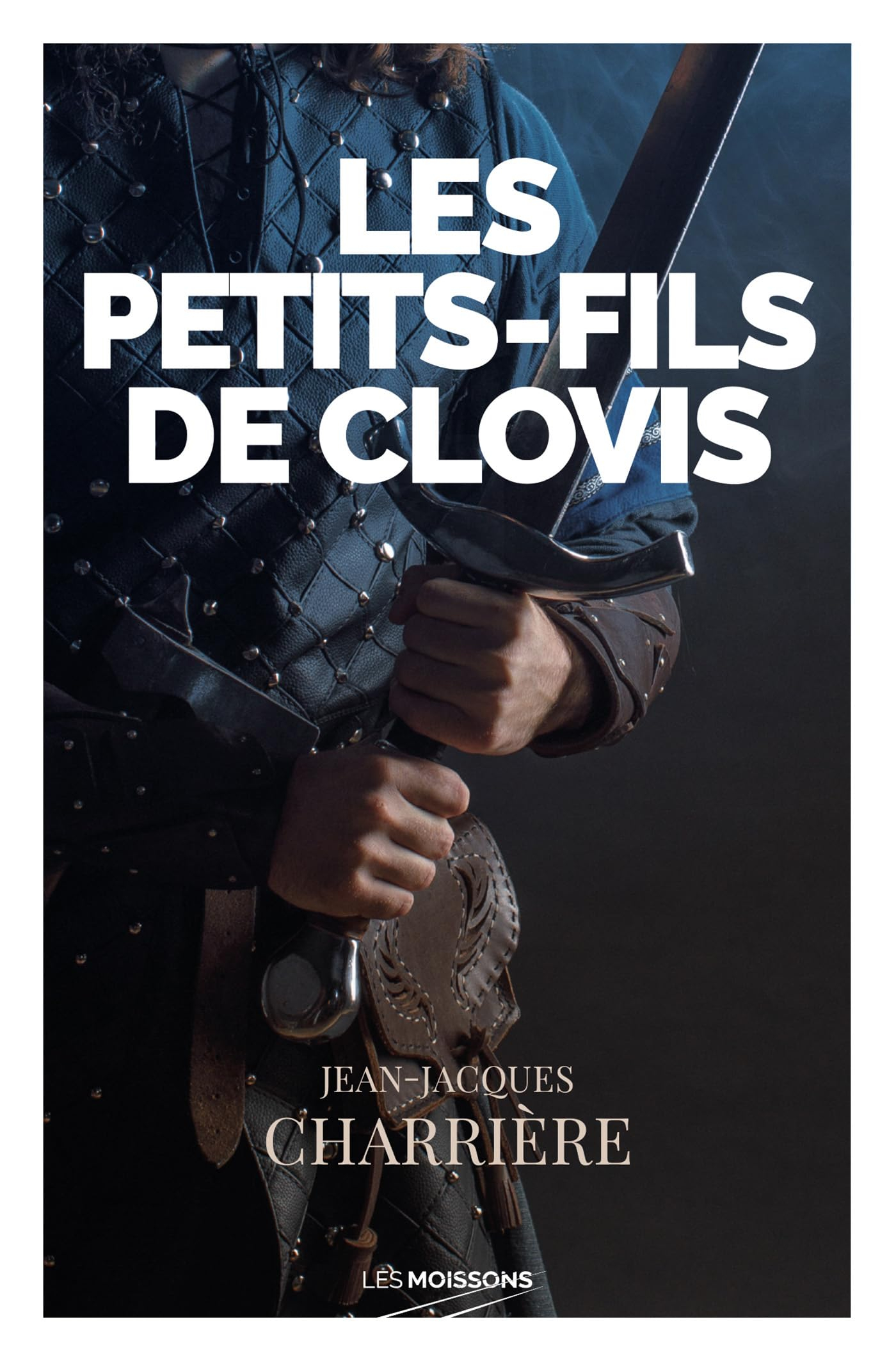 Le sang des Francs. Vol. 3. Les petits-fils de Clovis : roman historique
