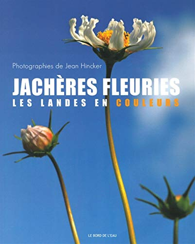 Jachères fleuries : les Landes en couleurs