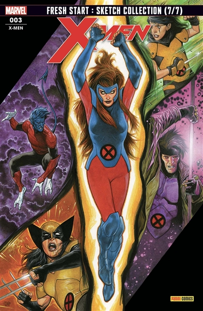 X-Men, n° 3. Vieilles connaissances