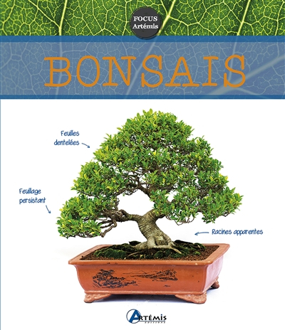 Bonsaïs