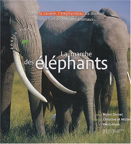 La marche des éléphants : dans la savane, l'éléphanteau va devenir le plus fort de tout les animaux.