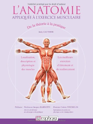 L'anatomie appliquée à l'exercice musculaire : de la théorie à la pratique