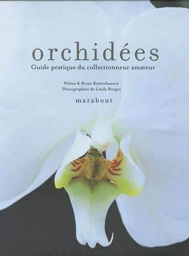 Orchidées : guide pratique du collectionneur pour les sélectionner et les cultiver