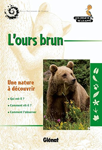 L'ours brun : une nature à découvrir