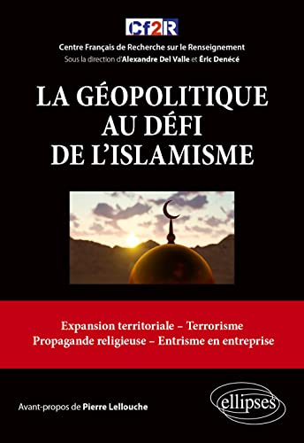 La géopolitique au défi de l'islamisme : expansion territoriale, terrorisme, propagande religieuse, 