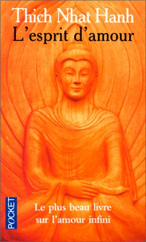 L'esprit d'amour : la pratique du regard profond dans la tradition bouddhiste mahayana