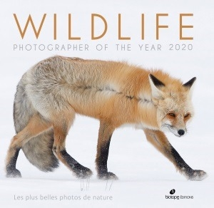 Wildlife Photographer of the year 2020 : les plus belles photos de nature
