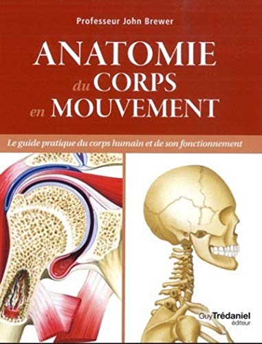 Anatomie du corps en mouvement