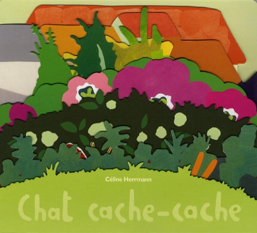 Chat cache-cache
