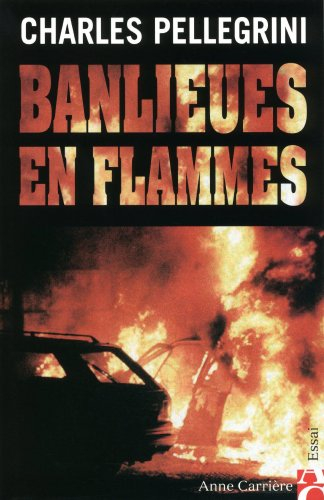 Banlieues en flammes