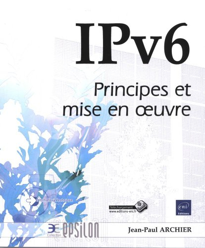 IPv6 : principes et mise en oeuvre
